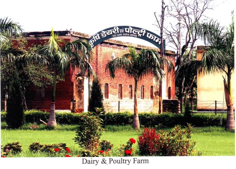 Udai Pratap College Varanasi Academic Building photo 6